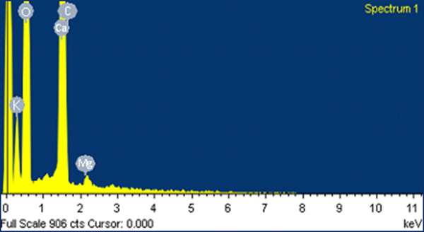 Spektrum EDX bubuk daun moringa oleifera yang dikalsinasi 
