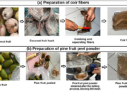 Mechanical and FTIR Characterization of Hybrid Composites Reinforced with Coconut Coir Fiber and Pine Fruit Peel Powder