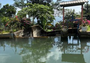 Fungsi Forebay di Pembangkit Listrik Mini dan Mikro Hidro (PLTMH)