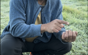 Es di Dieng: Indah bagi Wisatawan, Tantangan bagi Petani